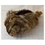 Hunters Greatest Item, Raccoon Fur Hat 19ï¿½