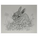 Vtg Print Signed Pen & Ink Drawing Rabbit