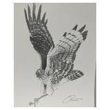 Vtg Print Signed Pen & Ink Drawing Falcon