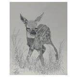Vtg Print Signed Pen & Ink Drawing Fawn