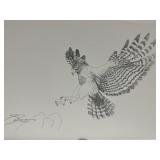 Vtg Print Signed Pen & Ink Drawing of Hawk