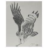 VTG 1985 Signed Wildlife Bird of Prey Art Print