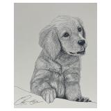 Vtg Print Pen & Ink Drawing Golden Retriever Puppy