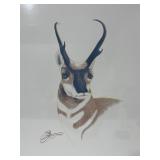 ï¿½Pronghorn Antelopeï¿½ 12/30 Signed Susan Morrison