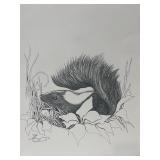 Vintage 1977 Signed Pen & Ink Drawing of Skunk