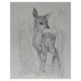 Vintage Print Signed Pen & Ink Drawing of Fawn