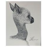 Vtg Print Signed Pen & Ink Drawing Llama