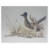 Greater Roadrunner Colored Pencil&Ink Print Signed