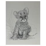Vintage Print Signed Pen & Ink Drawing of Lion Cub