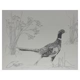 VTG Signed Pen & Ink Drawing Ring-necked Pheasant