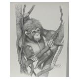 Chimpanzee 85ï¿½ Print Signed by Susan Morrison