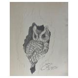 Vintage Print Signed Pen & Ink Drawing of Owl