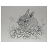 Vintage Print Signed Pen & Ink Drawing of Rabbit
