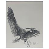VTG Bald Eagle In Flight Pencil Print Signed 1/100