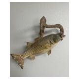 Mounted  Striped Bass