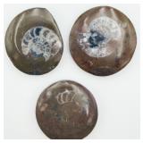 3 Cut & Polished Goniatite/Ammonite Fossil Discs