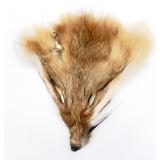 Real Red Fox Face