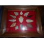 FANTASTIC AUCTION - LEE HOLMES, OWNER