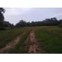 REAL ESTATE AUCTION - GENTRY ARKANSAS