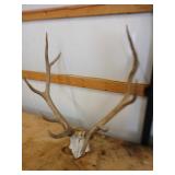 LIVING ESTATE AUCTION - MARSHALL & HEATHMAN