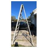 Louisville 9 Foot Ladder
