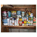 Large Misc Household Paint & More Lot