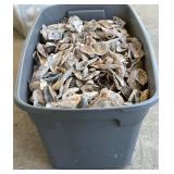 Large Lot of Oyster Shells