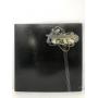 (Wednesday) Vinyl Record Auction #21 (9/17-9/24)