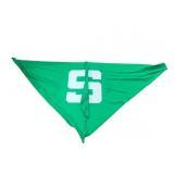 Michigan State Cloth Kite 64 X 32 Inches