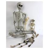Skeleton Figures In Various Sizes