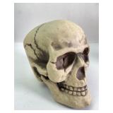 6ï¿½ï¿½ Tall Plastic Skull Sculpture With Details