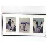 Ray I. Doan Penguin Photography Triptych
