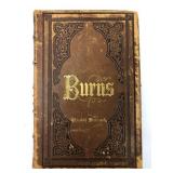The Poetical Works Of Robert Burns 1876