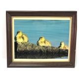 16 X 13 Fuzzy Duckies Photo Print Framed
