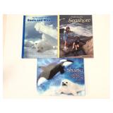 Seal And Ocean-Themed Educational Books