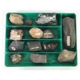 12 Labeled Rock Specimens