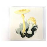 Vintage Signed Clarke Mushroom Illustration Cerami
