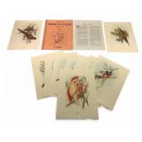 John Gould Birds In Color Print Portfolio