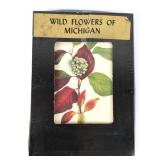 Wild Flowers Of Michigan Print Set