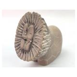 MCM Handcarved African Soapstone Lion