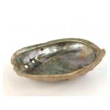 Large Natural Iridescent Abalone Shell Decorative