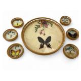 MCM Taxidermy Butterfly Tray & Coasters
