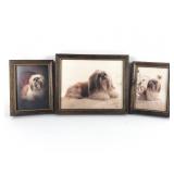 3 Framed Dog Portraits