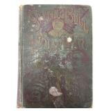 Sitting Bull & The Indian War 1891 First Ed