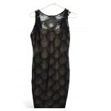 Badgley Mischka Black Lace Overlay Dress