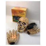 Stenna Halloween Skull & Skeleton Hands