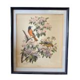 Arthur Singer Pencil Signed Baltimore Oriole Litho