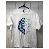 Gildan Detroit Lions Graphic T-Shirt