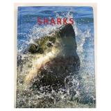 Sharks Book By Sandra Forty 12ï¿½ï¿½x9.25ï¿½ï¿½