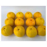 12 Ceramic Oranges